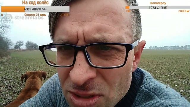 Добро пожаловать на стрим! Бухгалтер в эфире смотреть онлайн