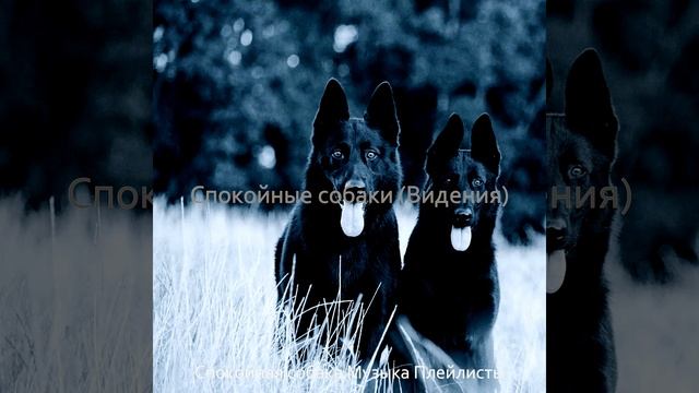 Впечатление (Милые Собаки) смотреть онлайн