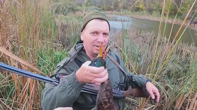 Открыли сезон охоты на куропатку. смотреть онлайн