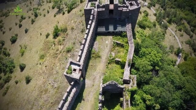 SPOMENIK PRIRODE CRNI BOR U KLISURI REKE IBAR 2019 смотреть онлайн