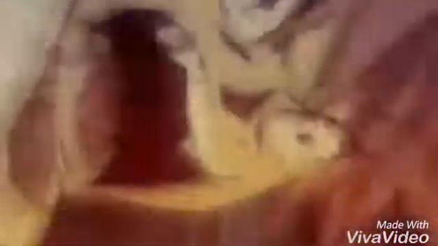 Хвост феи-Runaway смотреть онлайн