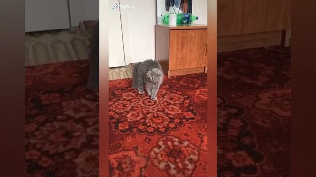 Грузины отдыхают!!! смотреть онлайн