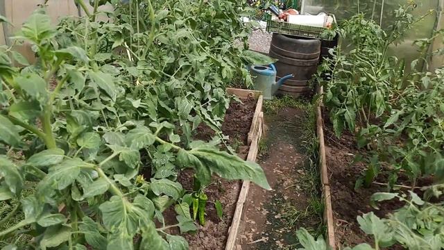 Что за перец. смотреть онлайн