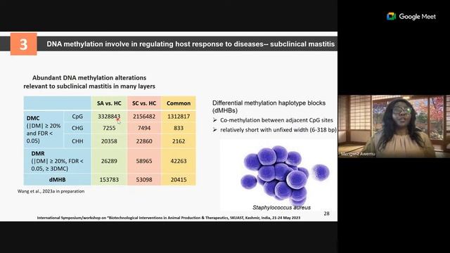 International Symposiu смотреть онлайн