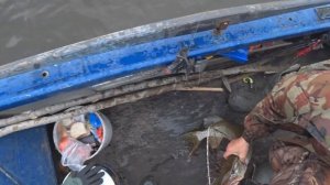 мужской отдых охота-рыбалка в Ненецком А. О. осень 2017  выезд 2