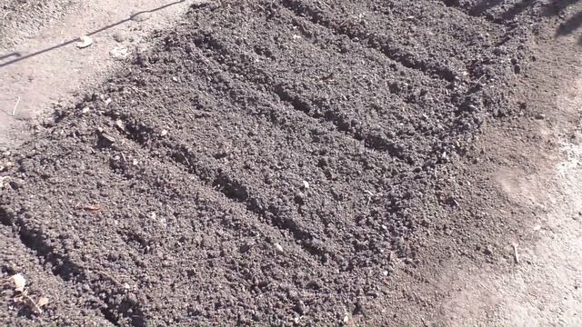 Вкусный Огород