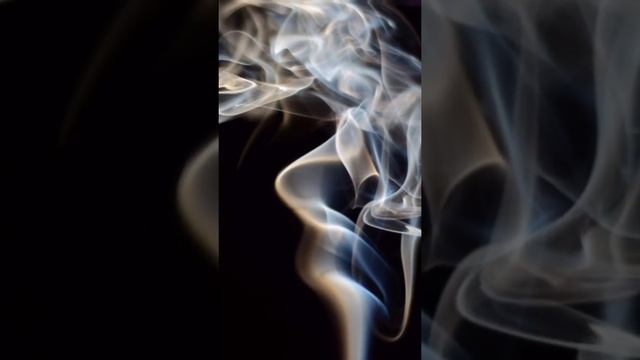 Н.Гумилев "Кенгуру" #стихи #поэзия #любовь #классика #гумилев #reading #poetry #love #classic #art смотреть онлайн