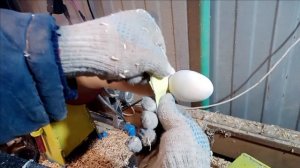 Точим  пасхальные яйца, на токарном станке по дереву