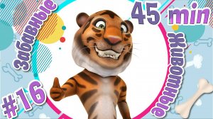 Забавные Прикольные Животные №16 + Самые Смешные Подборки про Животных