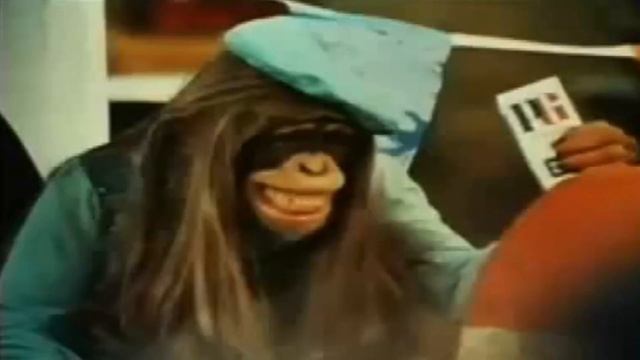 PG Tips - Chimpanzee on Tour de France - Can you ride Tandem ? смотреть онлайн