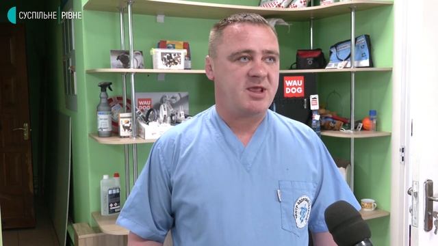 У Костополі на Рівненщині загинули кілька безпритульних собак. Мешканці підозрюють отруєння смотреть онлайн