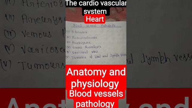 #the cardiovascular system #bloodvessels #pathology #bscnursing #firstyear смотреть онлайн