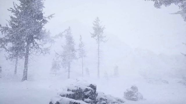 Зима, горы,снег, расслабляющие видео в лесу, отличная мелодия для отдыха, смотреть онлайн