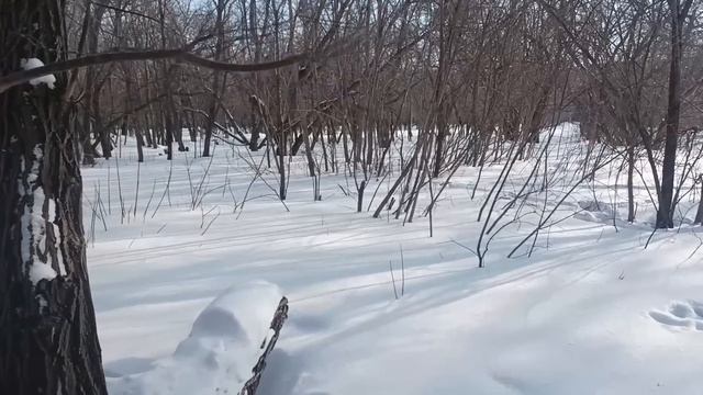 Свекровь уже стала бывшей, а не перестала удивлять. Пришла и сказала: Зоя, это нечестно... смотреть онлайн