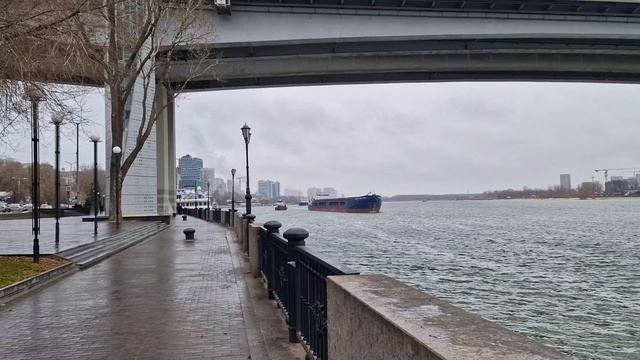 Ростов-на-Дону в начале декабря 2024г #ростовнадону #Ростов #Дон