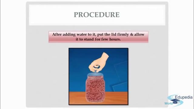 Absorption & Conduction Of Water | Structure & Function Of Root | Imbibition Process | Part 1 смотреть онлайн
