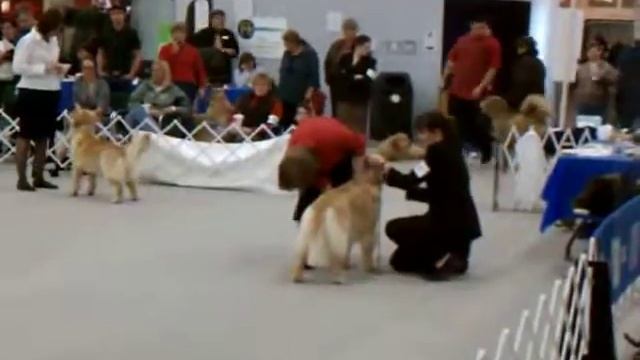 Mariah at Purina 3-6-2010 смотреть онлайн