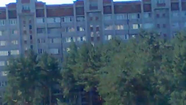 Законная ли вырубка?