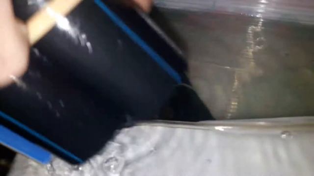Мальки рачки аккр 2,5 месяца смотреть онлайн