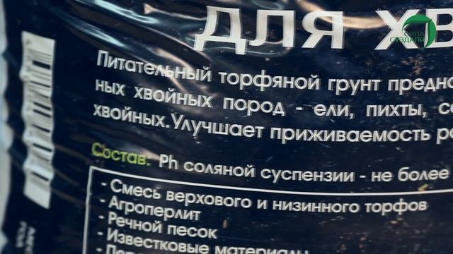 Хвойный грунт_Сила Суздаля смотреть онлайн