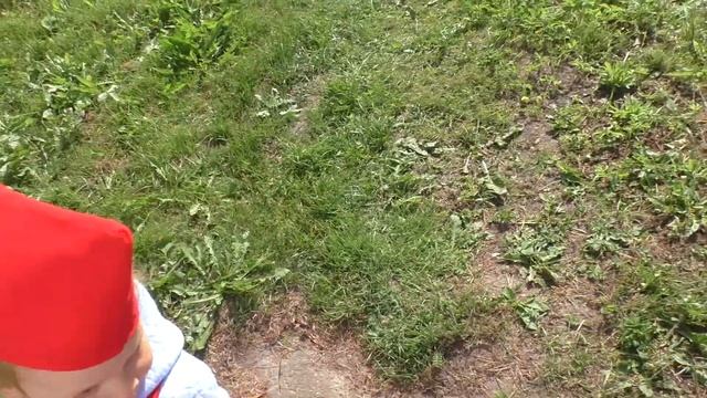 Вот оно какое наше лето. смотреть онлайн