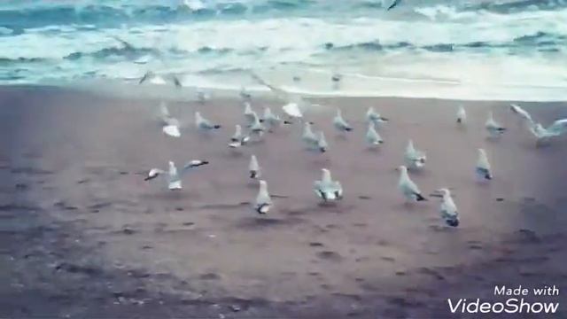 ОДЕССА ЗИМОЙ НА МОРЕ смотреть онлайн