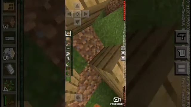 нашол двух нашных собак выживание в Майнкрафте #6