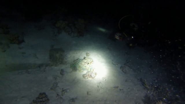 Осьминоги ЮТ 01 смотреть онлайн