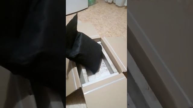 Дендробена червь получено #дендробена #разведение #бизнесснуля смотреть онлайн