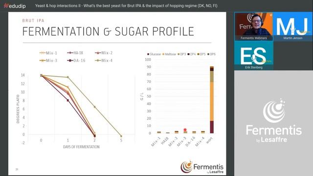 Yeast & hop interactions for Brut IPA & The impact of hopping regime - Fermentis webinar смотреть онлайн