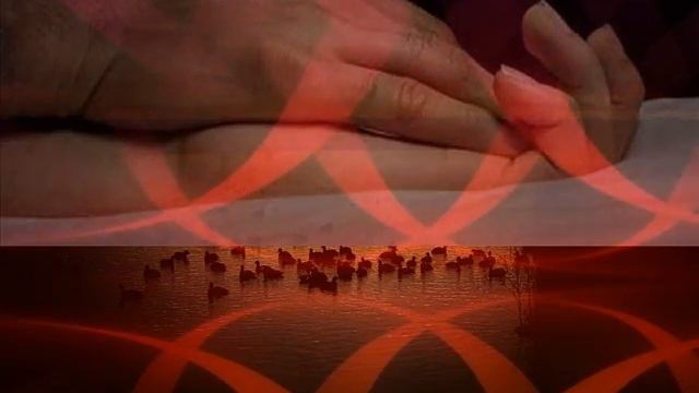 Danza de las libélulas смотреть онлайн