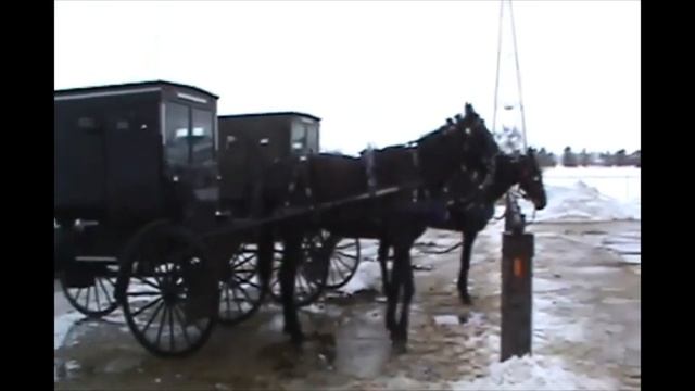 НАША ИНТЕРЕСНАЯ ПОЕЗДКА В ШТАТ ИНДИАНА ЛЕТ 12 НАЗАД // АМИШИ НА ЛОШАДЯХ // США смотреть онлайн