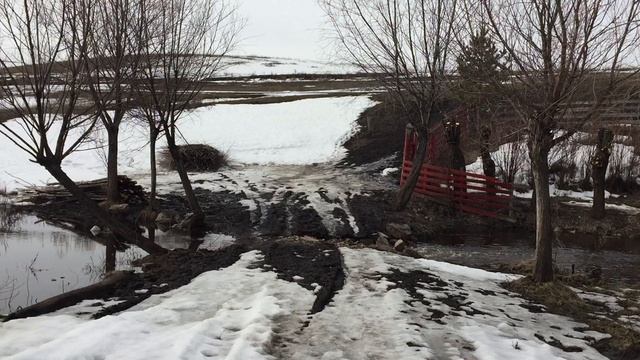 За родниковой водой