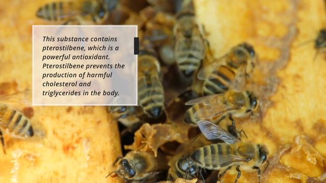 12 Unbelievable Health Benefits of Royal Jelly смотреть онлайн