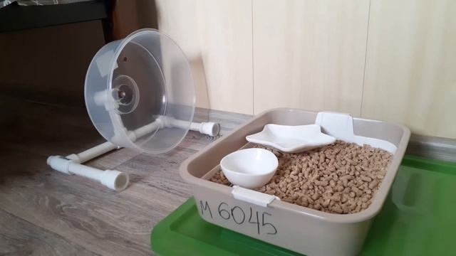 Любовь в лесу