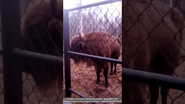 Канал Маша и Соня смотреть онлайн