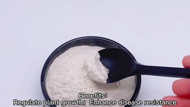 Chitosan смотреть онлайн