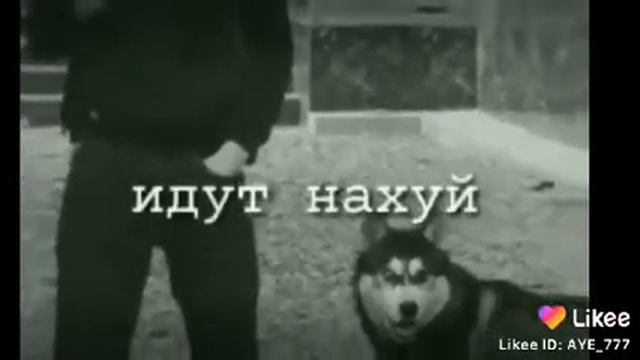 13 декабря 2019 г. смотреть онлайн