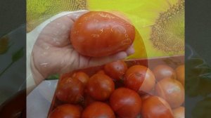 Томат для открытого грунта Медвежья лапа. №152. Расскажу о нем все за 5 минут.