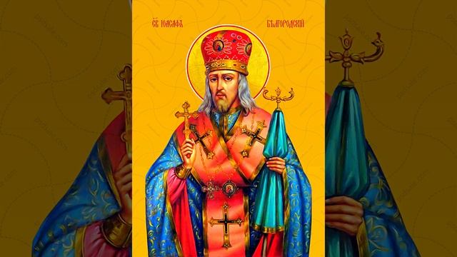 Долгая земная жизнь может быть не только наградой, но и наказанием... (Протоиерей Василий Хадыкин) смотреть онлайн