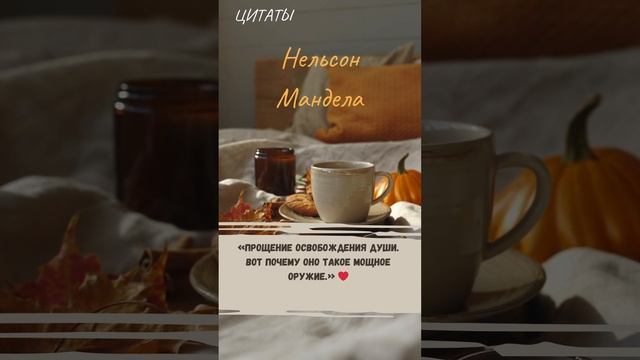 Цитаты 0.750 смотреть онлайн