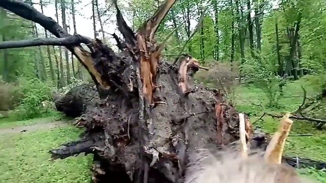 История под нашими ногами с Лидой Соловьевой Анжелиной и нашим гидом Надеждой. смотреть онлайн