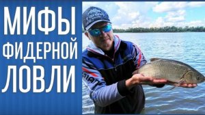 Фидер для начинающих. Часть 1. Фидерные мифы.