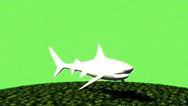 How To Get The Shark Fish Green Screen Effect In Photoshop смотреть онлайн