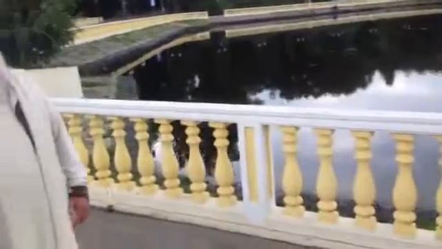 Свами Брахмдев в Колтушах 08 09 2013 смотреть онлайн