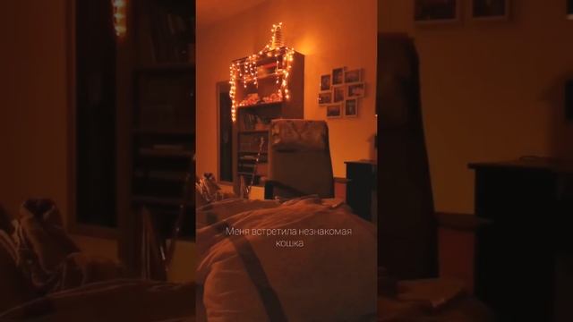 к Матушке на Рождество