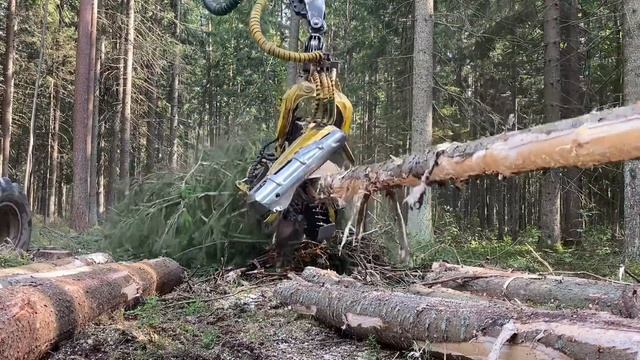 Работаем по Ели 🌲 смотреть онлайн