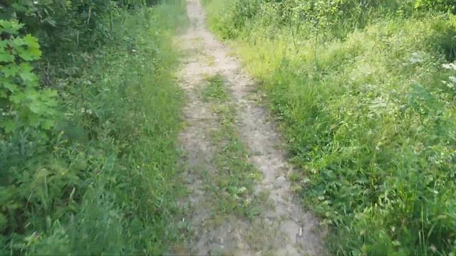 Взяли собаку из приюта... смотреть онлайн