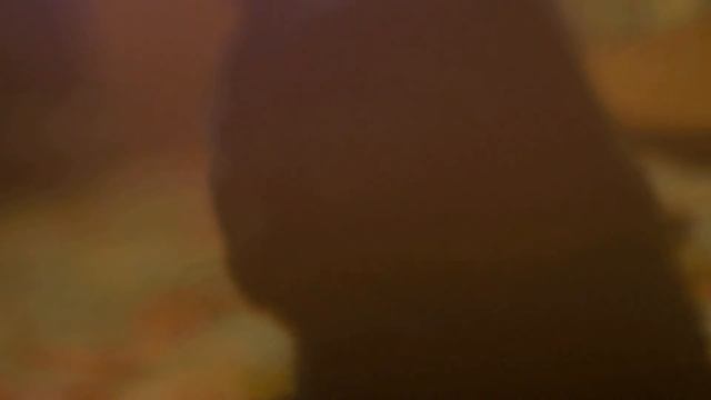 Video Sequence In Conjunction Panasonic GH2 And Lens Helios 44M 4