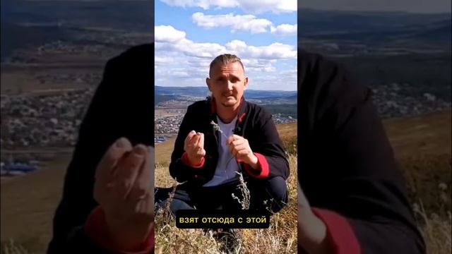 Закон отражения Рода смотреть онлайн